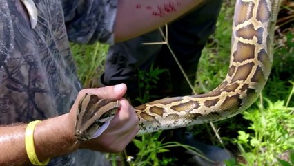 Gordon And Jack Ramsay Hunt For A Burmese Python | Season 1 Ep. 8 | THE F WORD