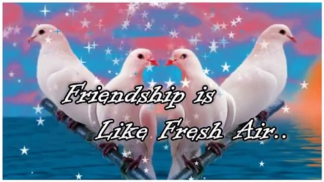 Good Afternoon Wishes..Message..Whatsaap Video...Quotes..Status..For You...