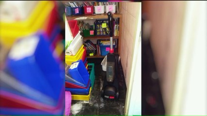 Teachers Says Chicago Public School Is Overrun With Rats