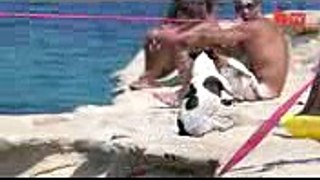 Diving Dog Pet Jack Russell ‘Titti’ Jumps From Rocks With Her Owner
