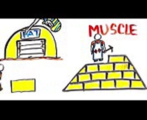 What is Bulking Will It Make You Gain Muscle