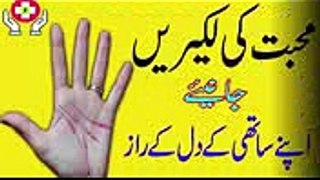 Palm line on Your Hand  In Urdu  Palmistry by Natural health Tips