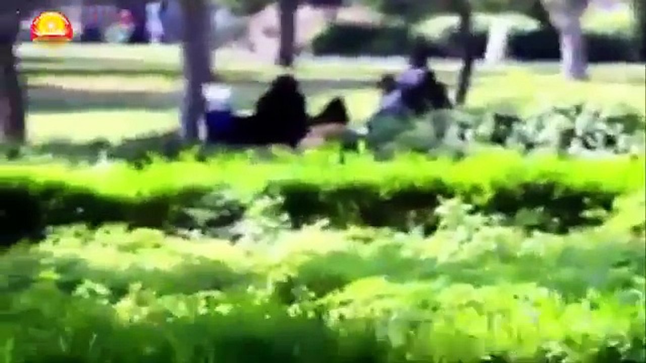 Funniest Video ever youll die of laughter Funny-clips--Top-funny-video