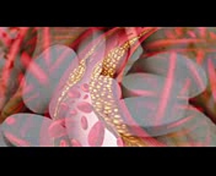 iHealthTube Natural Health News for Oct. 19