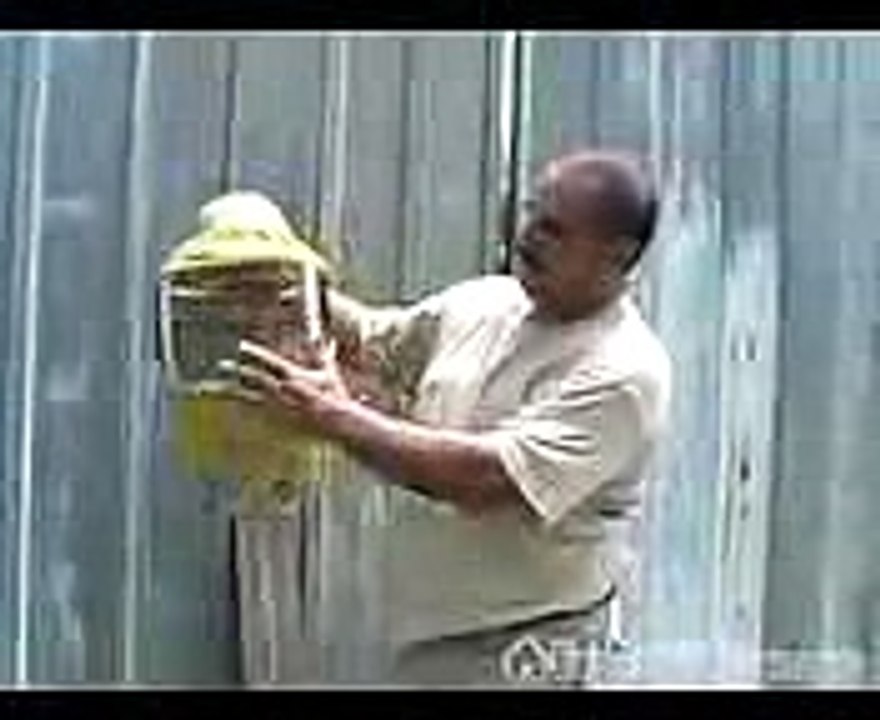 Principals of Beekeeping  How to Wear a Bee Veil