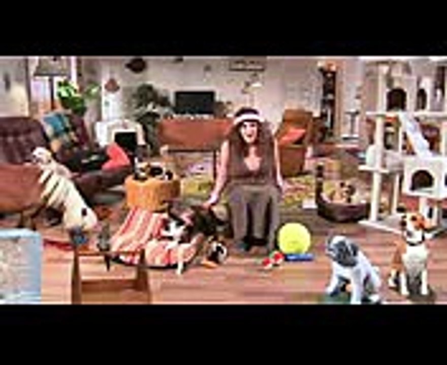 THE LOVING PET OWNER FITNESS  The Checkout