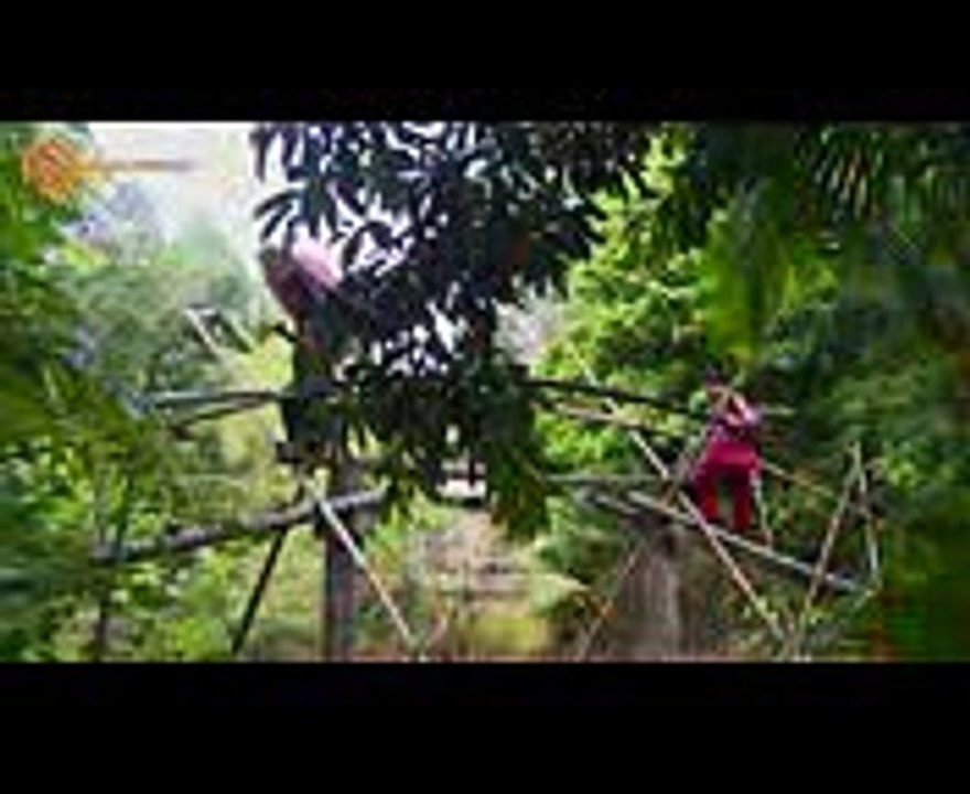 Ca Cổ Về Quê Ngoại  Nghệ Sĩ Thanh Nhường ft Lâm Ngọc Hoa