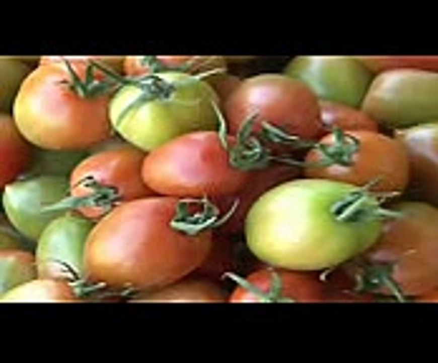 Horticulture in Kenya with Hortipro Ltd  Greenhouses