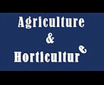 Difference Between Agriculture and Horticulture - Agriculture  VS  Horticulture