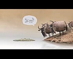 Simply Perfect Marketing Funny Video