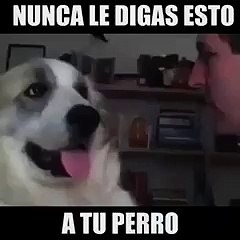 VID-20171129-WA0014