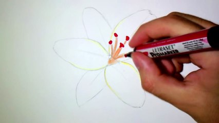 Comment dessiner une fleur de Lys [Tutoriel]-n2Kh2kz6714