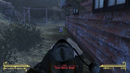 Fallout - New Vegas 11.29.2017 - 21.23.17.03