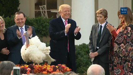 President Trump Saves A Turkey