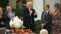 President Trump Saves A Turkey