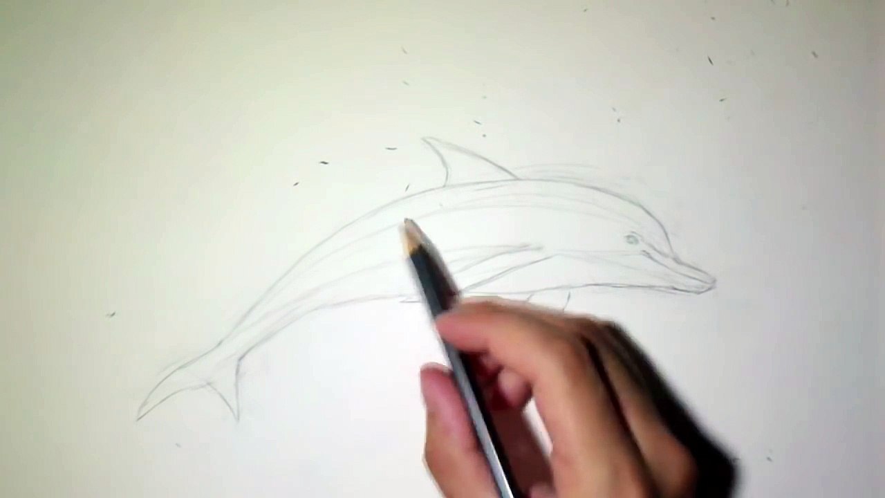 Comment dessiner un dauphin [Tutoriel]-M55U4hTGbh4
