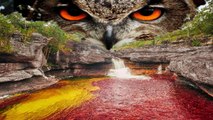 SOLVED: AUSTRALIA’S PINK LAKE MYSTERY | জেনেনিন রহস্যময় গোলাপী নদীর আসল রহস্য | Scientists have finally discovered why Lake Hillier is a strange neon colour |Bangla News | Bangla News Today