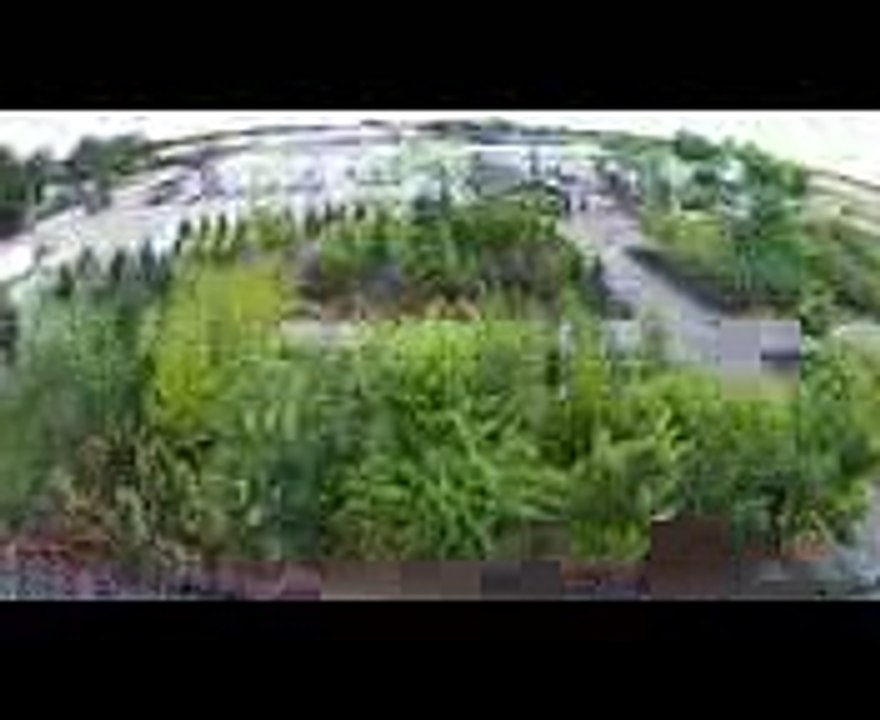 Vande Hey Company Landscaping Overview