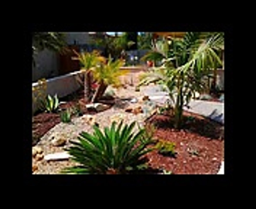 Good Desert landscaping ideas - Home Art Design Decorations