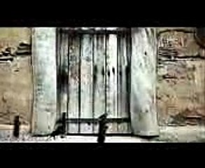 Cats 101 Domestic Housecat