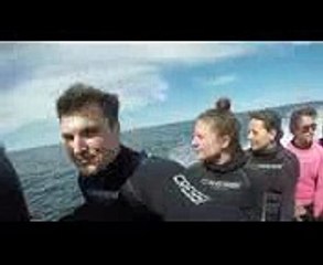Byron Bay Scuba Diving - Julian Rocks, NSW