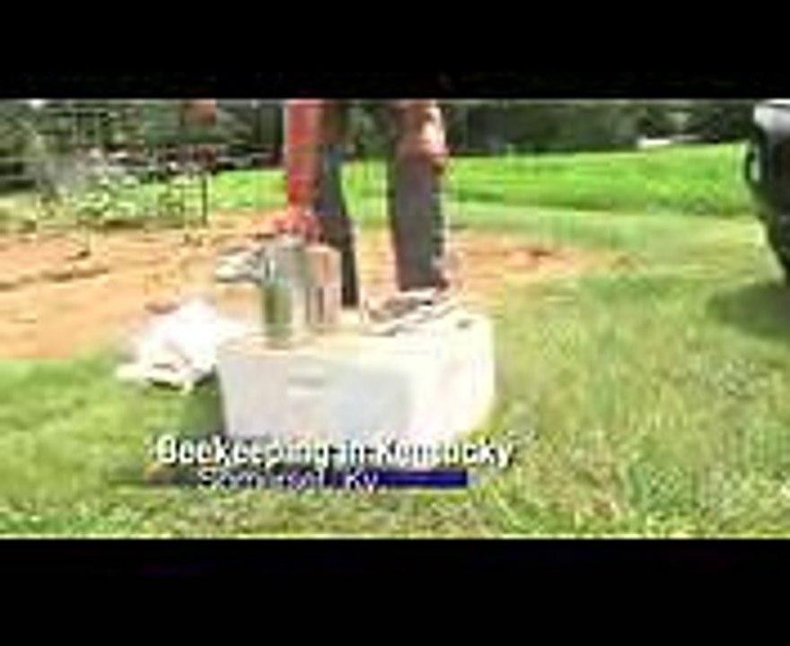 Beekeeping in Kentucky
