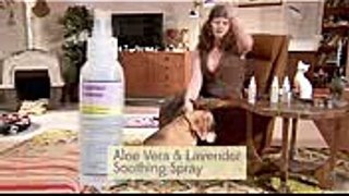 THE LOVING PET OWNER RELAX  The Checkout  ABC1