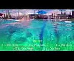 Freestyle swimming workout #2. Technique, distance per stroke and speed. Beginners