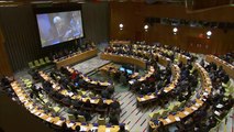 اجتماعات وفعاليات لدعم القضية الفلسطينية بمقر الأمم المتحدة