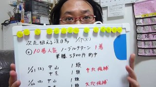 2017年　１月２２日（日）ＡＪＣＣ　調教診断　プロ馬券師集団『桜花』
