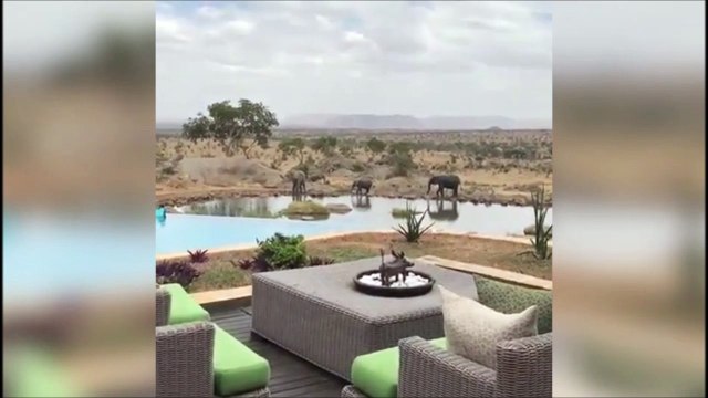 Décor époustouflant pour vos futures vacances en Afrique