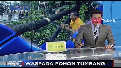 Pohon Tumbang Akibatkan Kemacetan