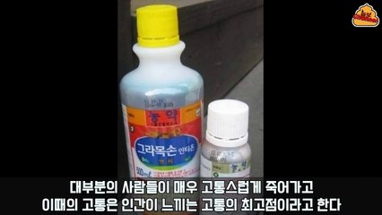 [그라목손]지식인 공포 레전드