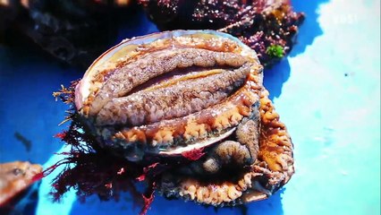 한국기행 - Korea travel_가을에 더 울주 4부 간절곶 바당이 보물이어라_#001