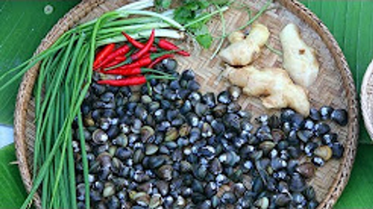 Viral Khmer Food - A Girl Cook Clams Recipe - Tasty Khmer Food 2017