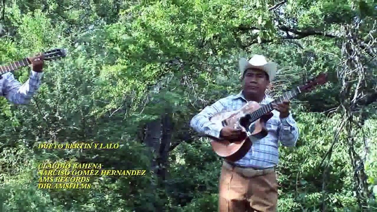 Bertin y Lalo