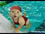 Cute and Funny Animal Photos