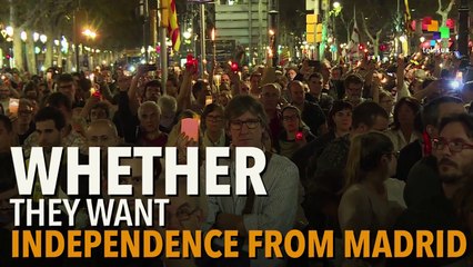 F.C. Barcelona - More Than a Club