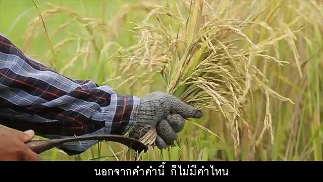เหตุผลของพ่อ - ธงไชย แมคอินไตย์ (2559)