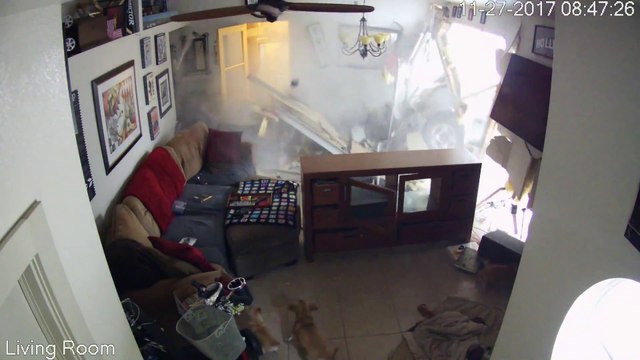 Ce chauffard fini sa route dans le salon d'une maison et ça ne plait pas aux chiens qui dormaient