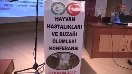Hayvan Hastalıkları ve Buzağı Ölümleri" Konferansı