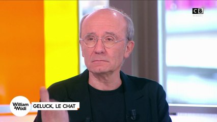 Philippe Geluck : Le chat