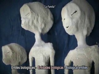 Les Etres Mystérieux de Nasca -  Les TROIS ESPECES - N°8