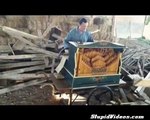 Man Plays Smooth Criminal on Barrel Organ