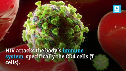 World AIDS day: Facts about HIV and AIDS