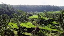 Inside the Mt Agung volcano exclusion zone-WkUSFG5UN7k