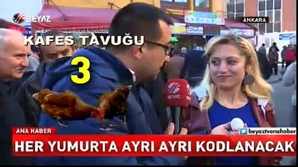 Yumurtada yeni dönem başlıyor