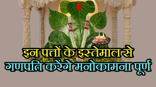 Learn what is the significance of leaves in Ganapati worship