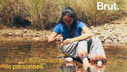 Pourquoi protéger les tigres d’Asie permettrait de protéger l’écosystème