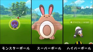 【ポケモンGO】モンスターボール３種を１００個ずつ投げ比べてみた